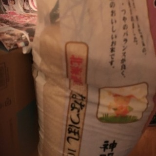 お米10キロ   虫あり   食料品と交換での画像