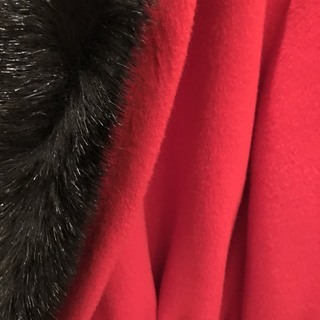 レディースコートの画像