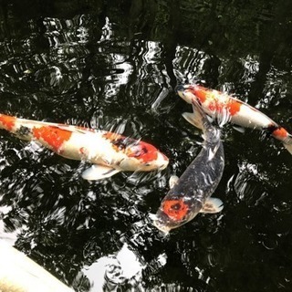 平日休みの友達募集！！