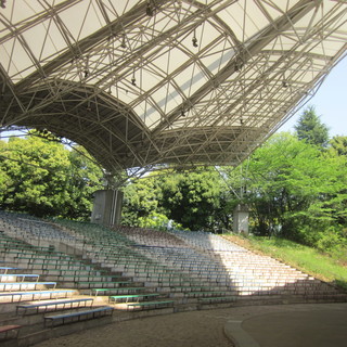 様々なプログラムを募集中！緑豊かな公園であなたのプログラムを展開しませんか。の画像