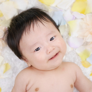 年賀状フォト撮影会を開催いたします♪の画像