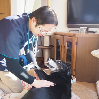 埼玉エリアも往診はじめました。平均寿命20才を目指し、情報・ケア...