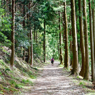 ４５歳からのハイキング、登山仲間募集 - メンバー募集