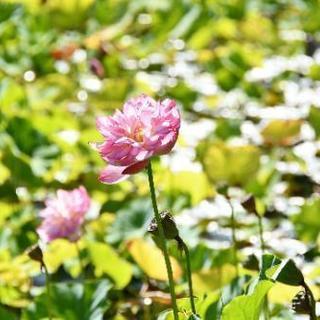 カメラ好きな人📷 - 友達