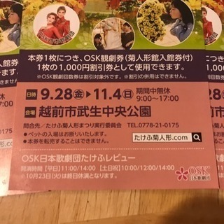 2018年 武生菊人形 OSK観劇券割引券 菊人形館招待券付きの画像