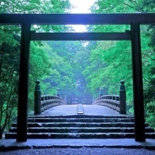11/18(日)🌈  パワースポット巡り✨明治神宮参拝⛩ ＆   明治神宮外苑いちょう祭りと🍁 原宿竹下通りお散歩   オシャレなランチカフェ会🔮⭐️参加メンバー募集中‼️🛍☕️🍰 − 東京都