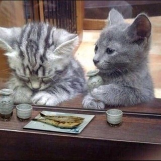 マグカップ探してます！