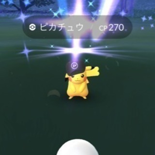 ポケモンGO 成田市 佐倉市 富里市 八街市 周辺