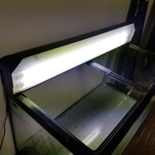 90㎝の水槽の画像