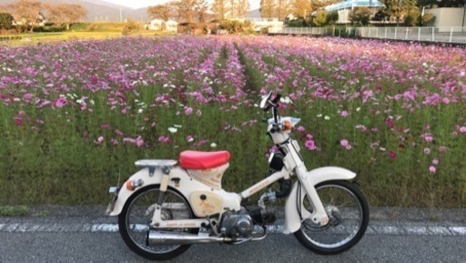 カブ C50 Z2 1976年製