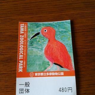 多摩動物園のチケット