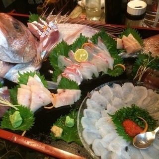 釣ってきた魚 さばきます