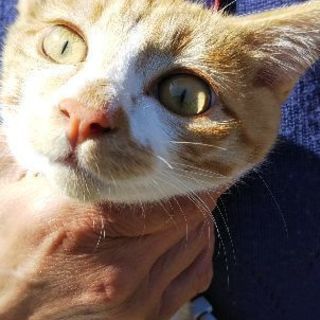 里親様、本日決まりました。閲覧有り難うございました