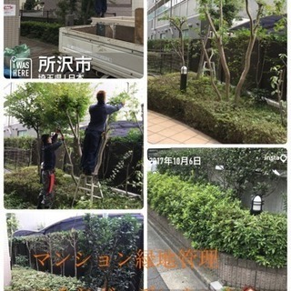 アパート.マンション植栽管理致します【埼玉県所沢市 入間市志木市川越市〜】の画像