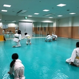 合気道 少年部&一般部の画像