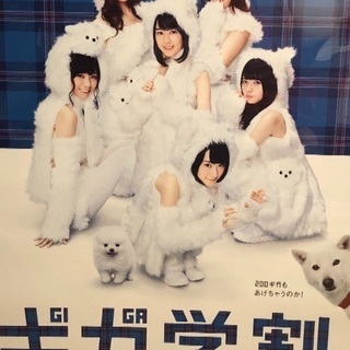 乃木坂好きな友達募集中です！