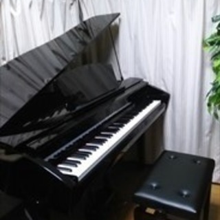 ♪大人のピアノ教室「弾きたい曲だけ練習したい！」という方へ　３０分５００円でレッスンを受けられます♪の画像