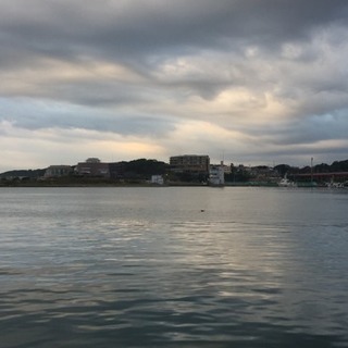 釣り仲間募集