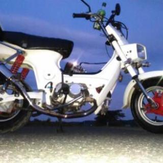 通勤用ミニバイクでツーリング
