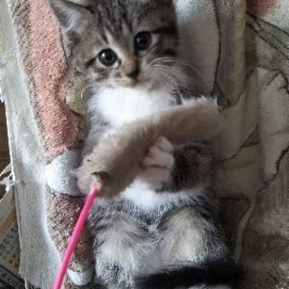 一番可愛い子がドタキャン!?