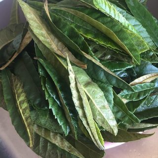 ※🌿国産茶葉・完全無農薬・有機栽培100% ★びわの葉☆50g／びわ茶・びわエキス・ビワ風呂・びわ温灸★の画像
