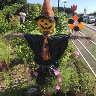 幸区にてソフトバレーボールのチームを探しています。