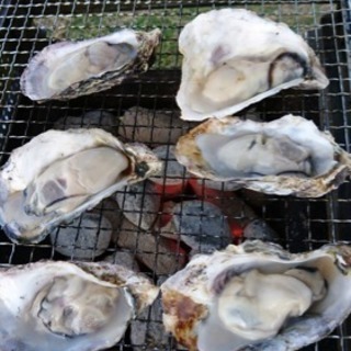 BBQ、キャンプ仲間 - 石垣市