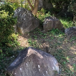庭石あげます