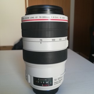 CANON 70-300mm L f4/5.6 USM