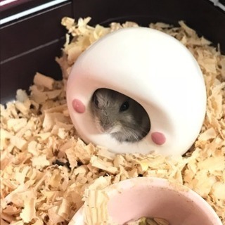 決まりました。