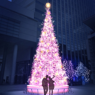 深川ギャザリア クリスマスイルミネーション 2018 「冬の花見...