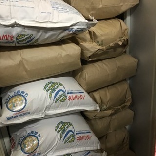 令和7年度米 【無農薬】ひのひかり10キロ　たつの発の画像