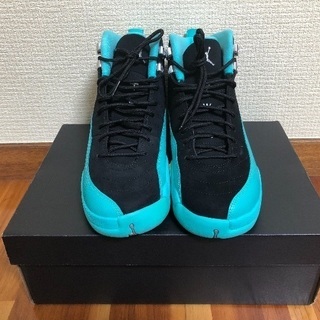 新品 JORDAN12 Hyper jade 26㎝