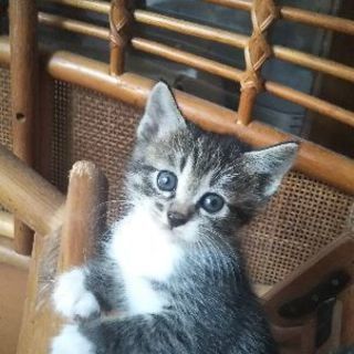 一番可愛い子がドタキャン!? - 一関市