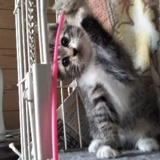 一番可愛い子がドタキャン!? − 岩手県