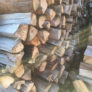 広葉樹ミックス 約1立米