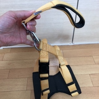 中型犬用胴輪とリード★美品 ペティオ