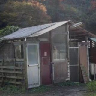 掘っ建て小屋　解体　やって頂ける方募集