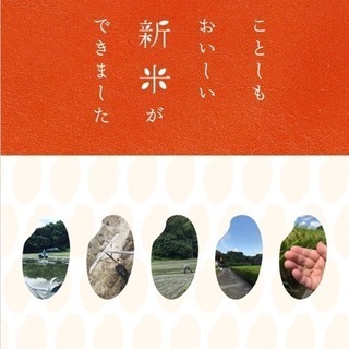 令和元年度米 ヒノヒカリ 精米28kg