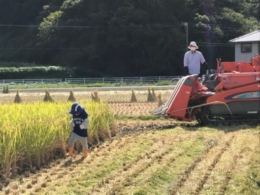 令和元年度米 ヒノヒカリ 精米28kg