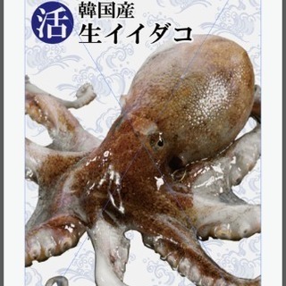 ランチタイム募集！新大久保から徒歩3分 海鮮レストラン テジョン...