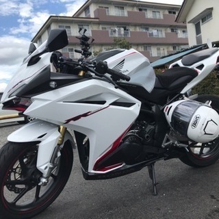 バイク仲間を募集しております！