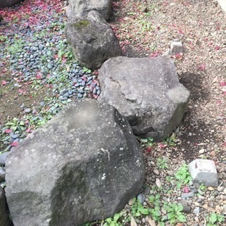 庭石 庭木