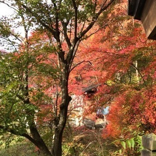 温泉仲間募集