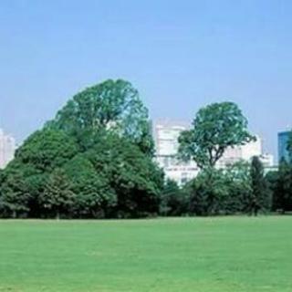 11月4日『東京歩き会vol.1in新宿御苑』