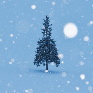 12月24日　ダンススタジオ　エム　クリスマスパーティー　皆さんお友達お誘いの上ご参加下さい！の画像