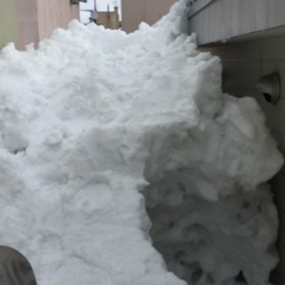 屋根の雪下ろし、除雪、排雪承ります。