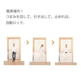 正規輸入品ティーレックスLascalキディガード アヴァントブラックの画像