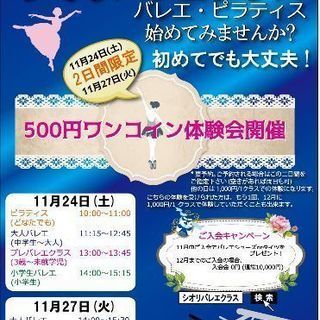 ワンコイン(500円)体験会開催
