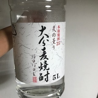 バイク・お酒・不動産・ポケモン・Ｂ級グルメ